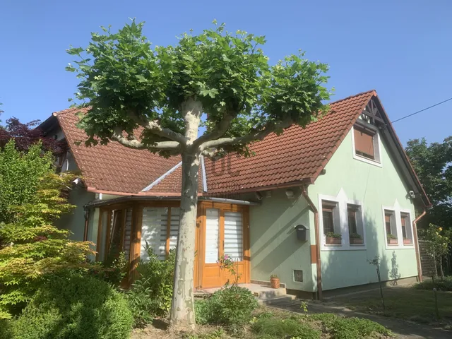 Eladó ház Zalaszántó 210 nm