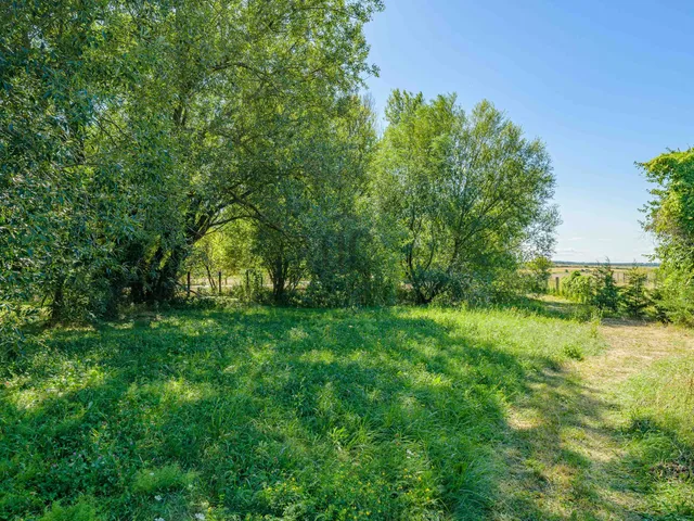 Eladó telek Sáska 2223 nm