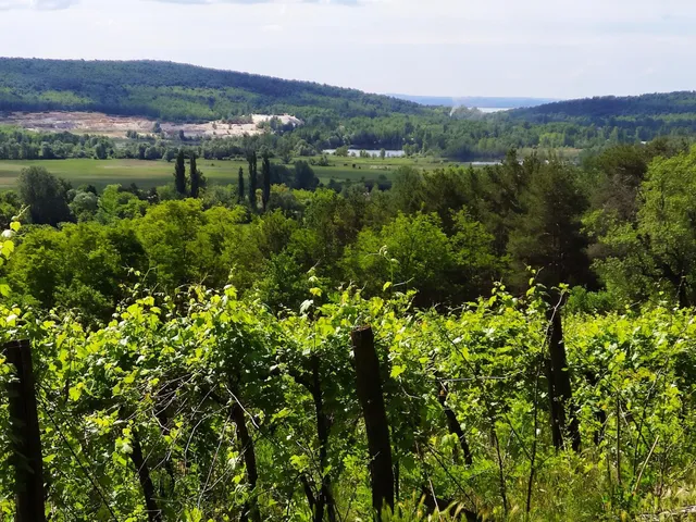 Eladó telek Kékkút 4989 nm