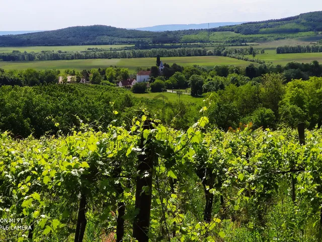 Eladó telek Kékkút 4989 nm