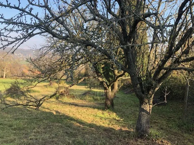 Eladó telek Hévíz 1461 nm