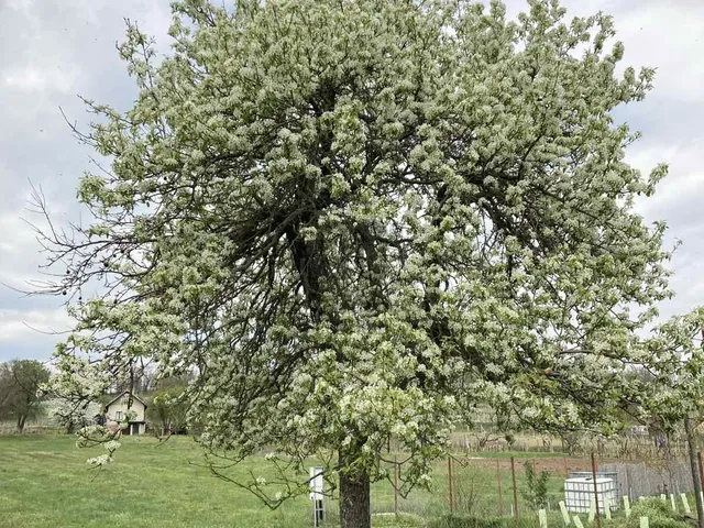 Eladó telek Ábrahámhegy 970 nm