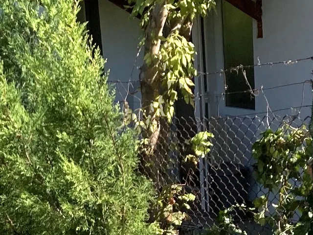 Eladó telek Ábrahámhegy 1090 nm