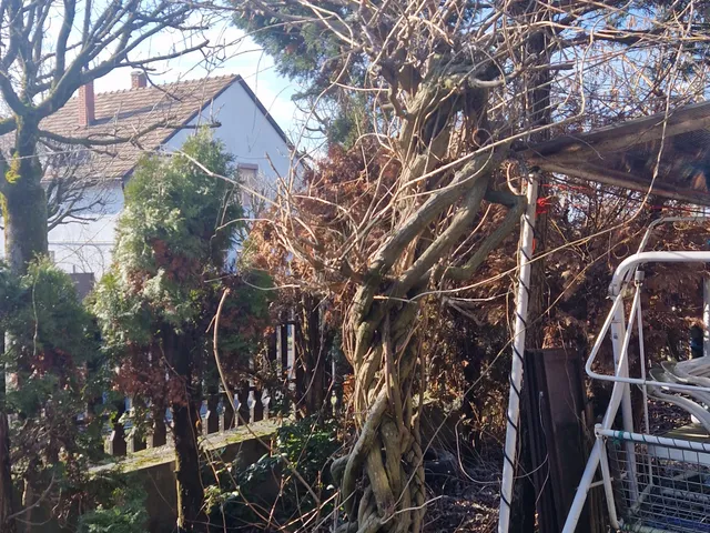 Eladó ház Hévíz 160 nm