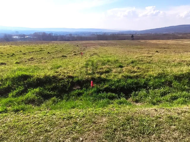 Eladó telek Zalaszántó 5000 nm