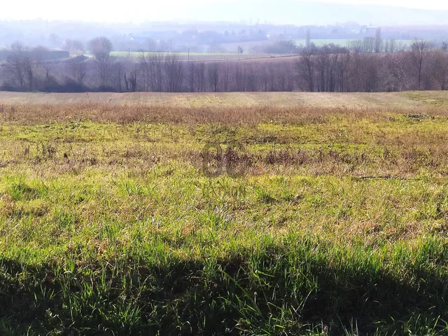 Eladó telek Zalaszántó 5000 nm