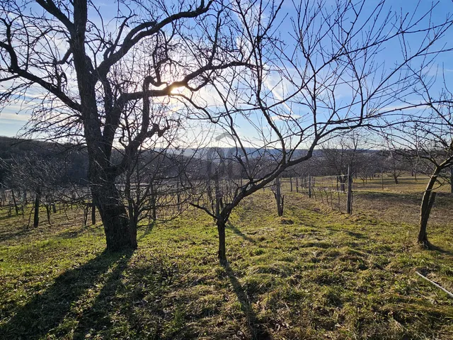 Eladó üdülő és hétvégi ház Mencshely 55 nm
