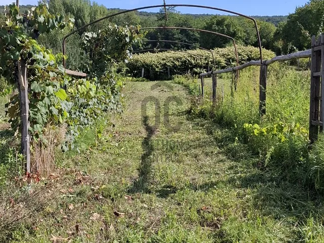 Eladó mezőgazdasági ingatlan Várvölgy 10422 nm
