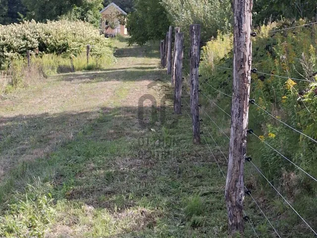 Eladó mezőgazdasági ingatlan Várvölgy 10422 nm