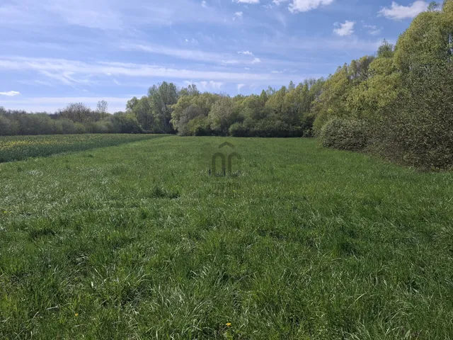 Eladó telek Zalaszentlászló 12998 nm