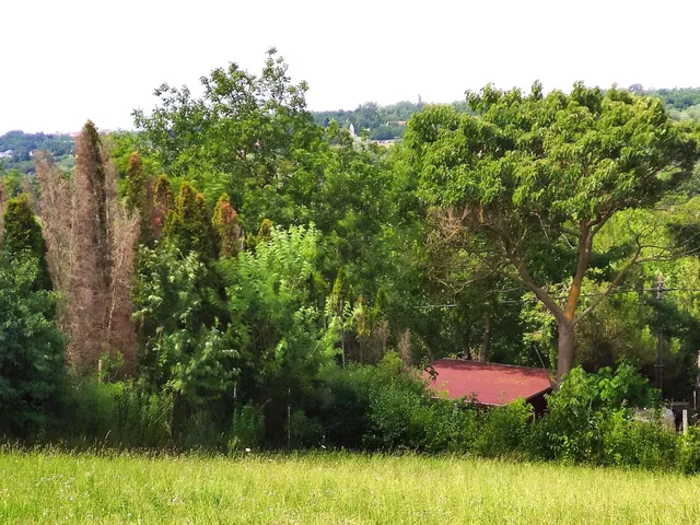 Eladó telek Cserszegtomaj 1540 nm