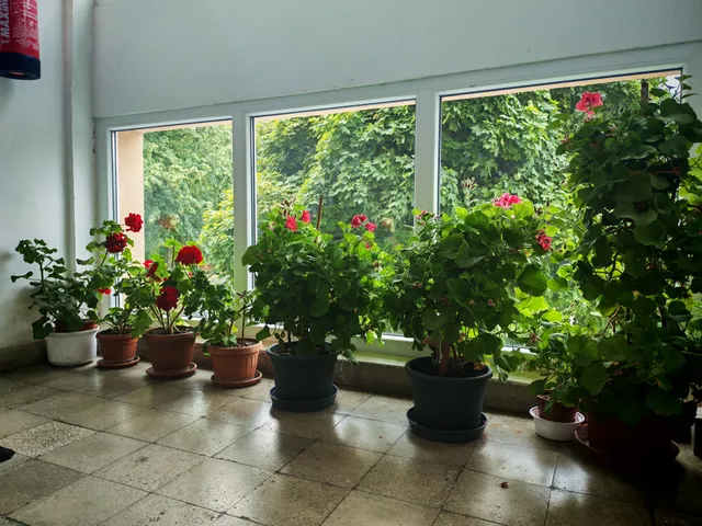 Eladó lakás Keszthely 62 nm