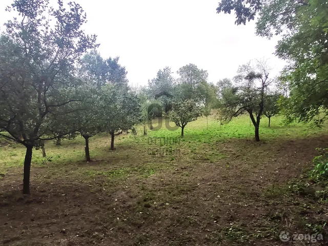Eladó telek Bazsi 4077 nm