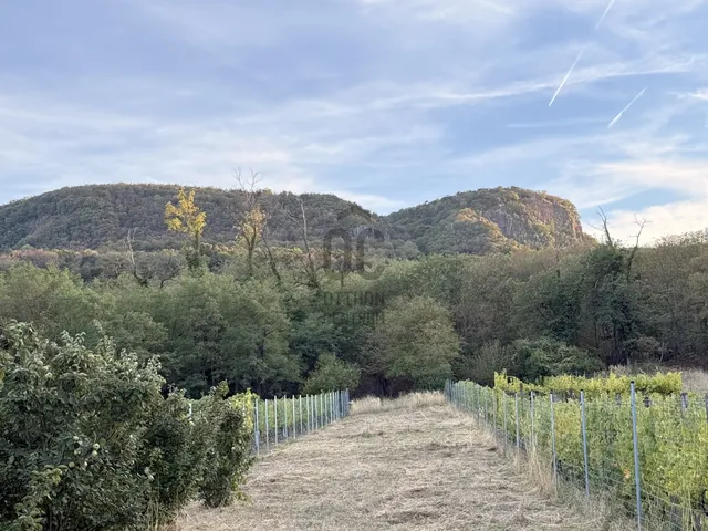 Eladó nyaraló Badacsonytomaj 120 nm