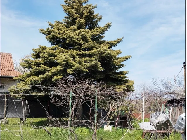 Eladó telek Mogyoród 1022 nm