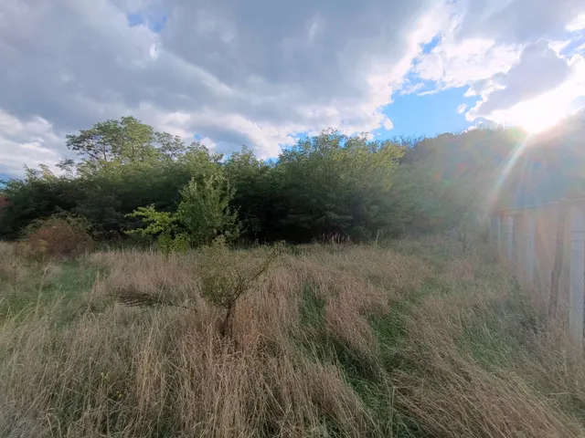 Eladó mezőgazdasági ingatlan Csomád 2928 nm