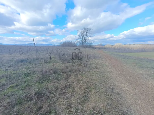 Eladó mezőgazdasági ingatlan Csomád 118729 nm