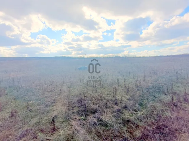 Eladó mezőgazdasági ingatlan Csomád 118729 nm