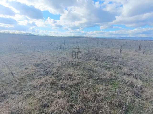 Eladó mezőgazdasági ingatlan Csomád 118729 nm