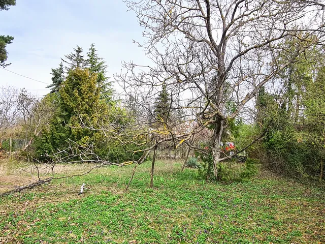 Eladó telek Szentendre 782 nm