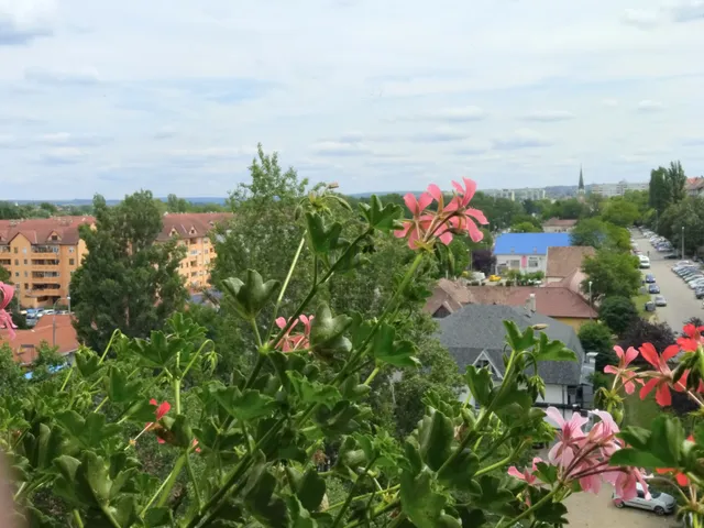 Eladó lakás Budapest XVII. kerület, Pesti úti lakópark 51 nm
