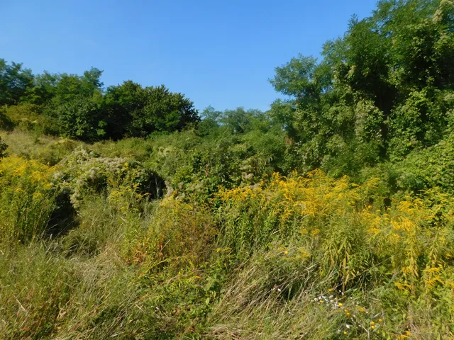 Eladó telek Vác, Papvölgy 1311 nm