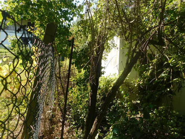 Eladó telek Vác, Papvölgy 1311 nm