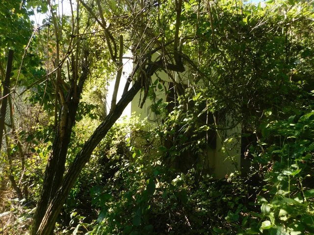 Eladó telek Vác, Papvölgy 1311 nm