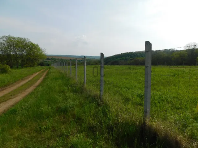 Eladó telek Őrbottyán 5489 nm