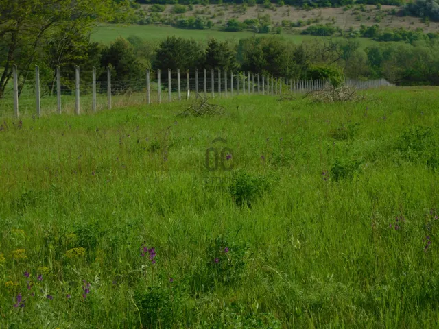 Eladó telek Őrbottyán, Vácbottyán 5266 nm