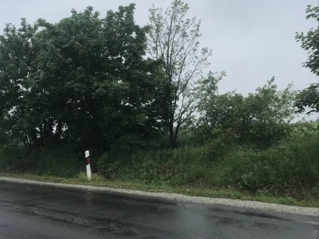 Eladó mezőgazdasági ingatlan Vácrátót 5907 nm