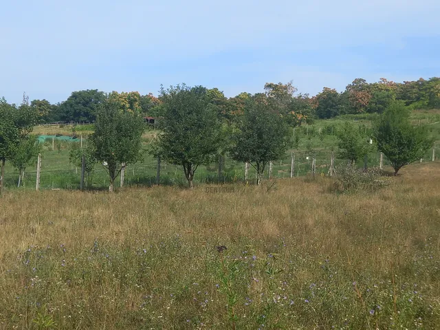 Eladó telek Őrbottyán, Vácbottyán 11092 nm