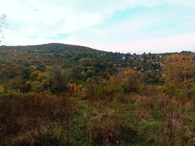 Eladó telek Vác, Diósvölgy 3907 nm