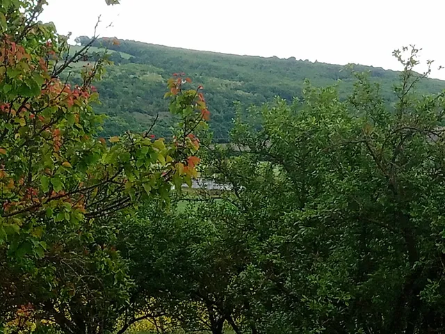 Eladó telek Püspökhatvan 16251 nm