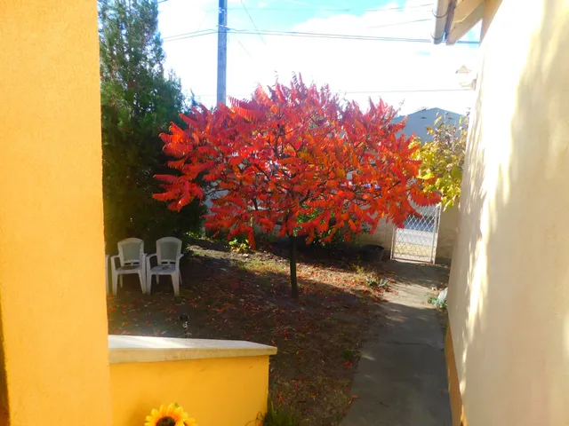 Eladó ház Váchartyán 220 nm