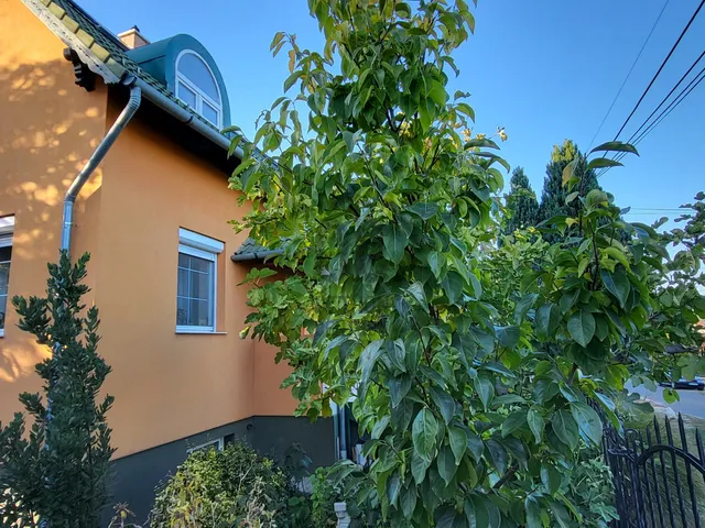 Eladó ház Rád 200 nm