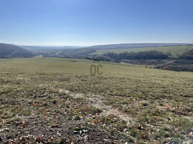 Eladó mezőgazdasági ingatlan Kosd 150000 nm