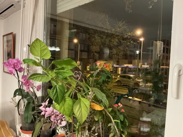 Eladó lakás Budapest XI. kerület, Kelenföld 82 nm