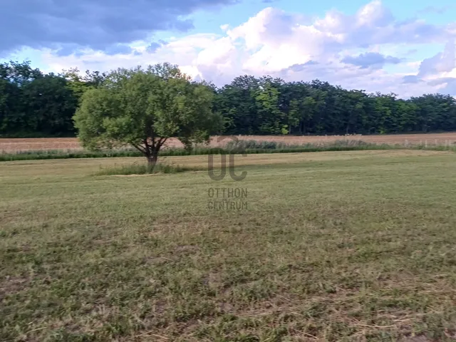 Eladó telek Váchartyán 9298 nm