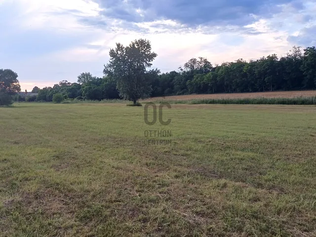Eladó telek Váchartyán 9298 nm