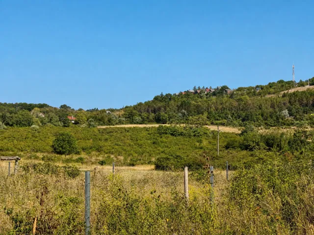 Eladó telek Vác, Hermány 23390 nm