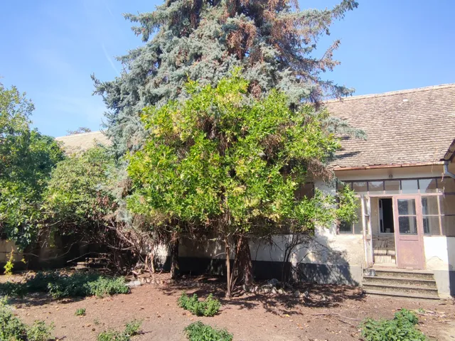 Eladó ház Nagybaracska, Szabadság tér 475 nm