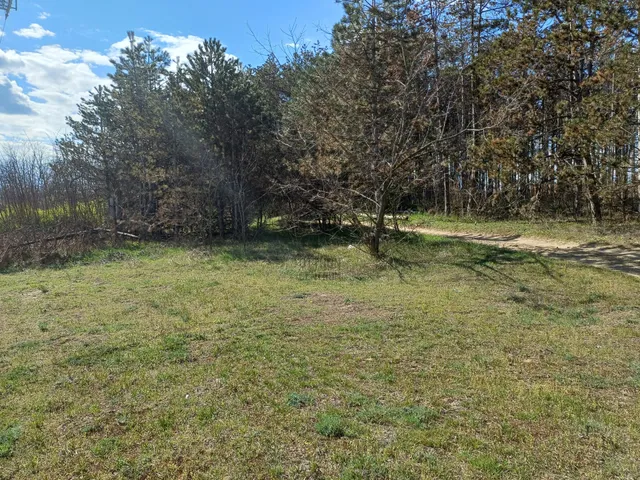 Eladó telek Ágasegyháza 2455 nm