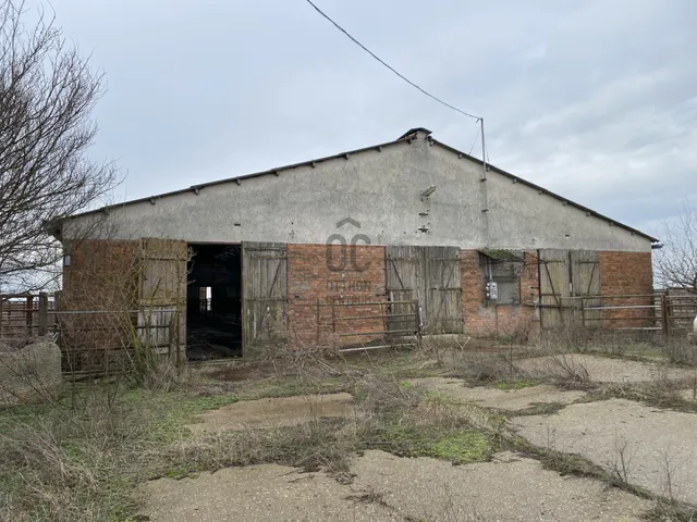 Eladó kereskedelmi és ipari ingatlan Mezősas 3351 nm