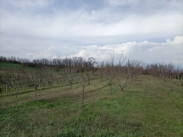 Eladó telek Látrány 6314 nm