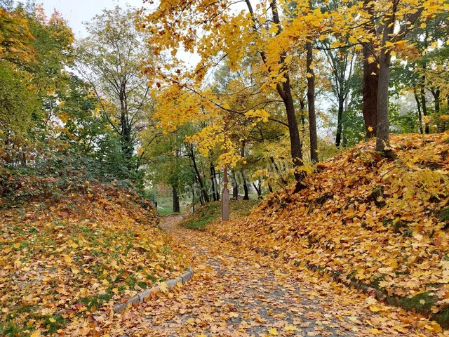 Eladó ház Miskolc, Kisavas 150 nm