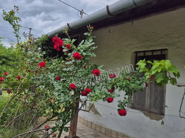 Eladó ház Poroszló 70 nm