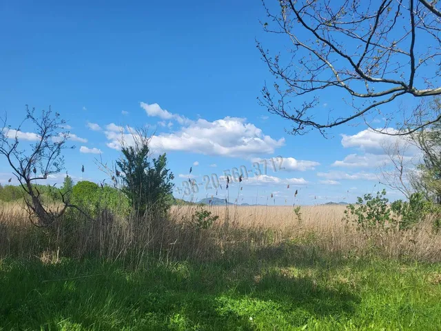 Eladó telek Balatongyörök 10575 nm