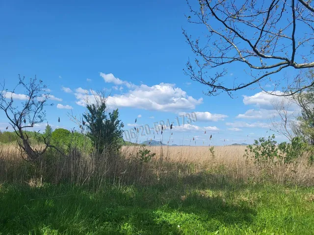 Eladó telek Balatongyörök 10575 nm