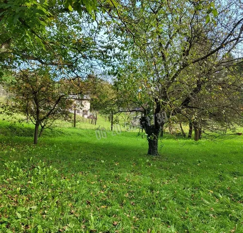 Eladó telek Zalaegerszeg, Csács 912 nm